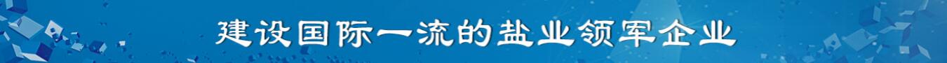 苏盐2